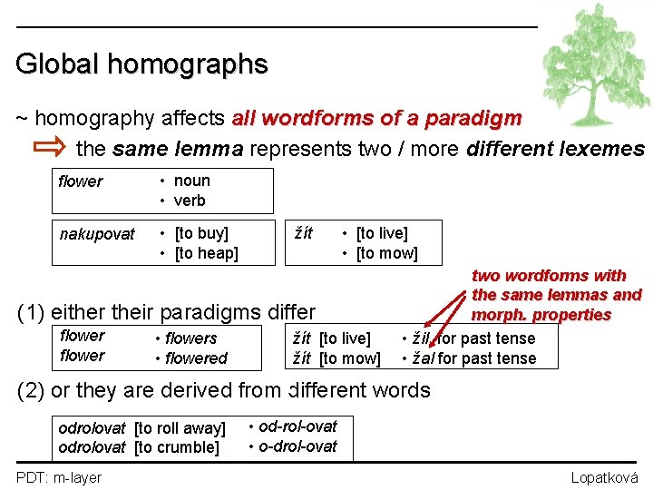 Global homographs ~ homography affects all wordforms of a paradigm the same lemma represents