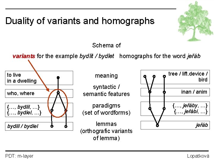 Duality of variants and homographs Schema of variants for the example bydlit / bydlet