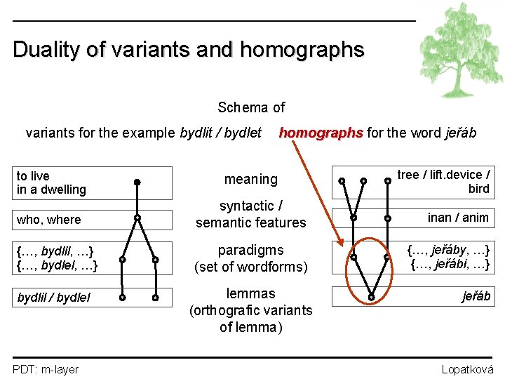 Duality of variants and homographs Schema of variants for the example bydlit / bydlet