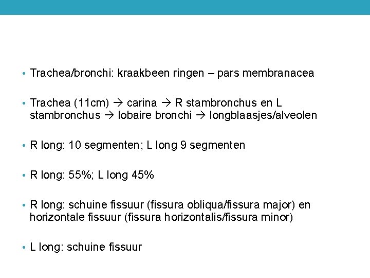  • Trachea/bronchi: kraakbeen ringen – pars membranacea • Trachea (11 cm) carina R