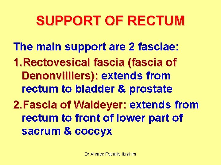 SUPPORT OF RECTUM The main support are 2 fasciae: 1. Rectovesical fascia (fascia of