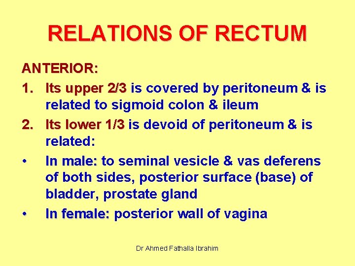 RELATIONS OF RECTUM ANTERIOR: 1. Its upper 2/3 is covered by peritoneum & is