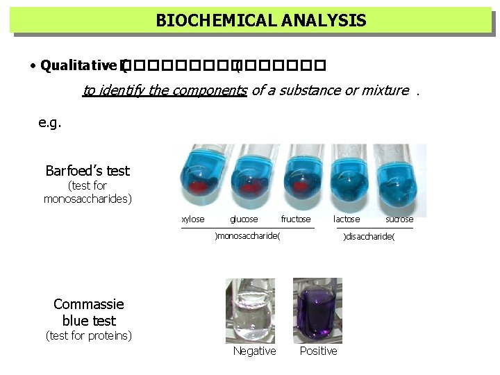 BIOCHEMICAL ANALYSIS • Qualitative �������� ( ( to identify the components of a substance