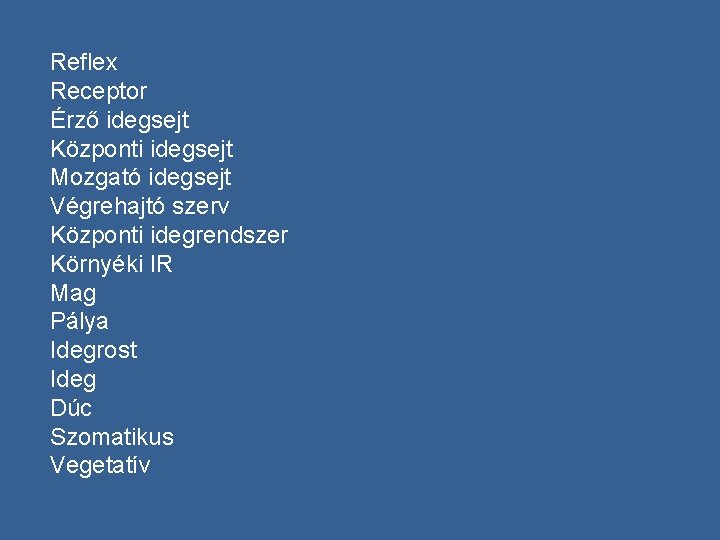 Reflex Receptor Érző idegsejt Központi idegsejt Mozgató idegsejt Végrehajtó szerv Központi idegrendszer Környéki IR
