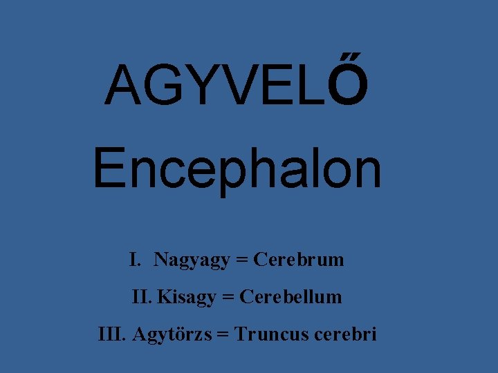 AGYVELŐ Encephalon I. Nagyagy = Cerebrum II. Kisagy = Cerebellum III. Agytörzs = Truncus