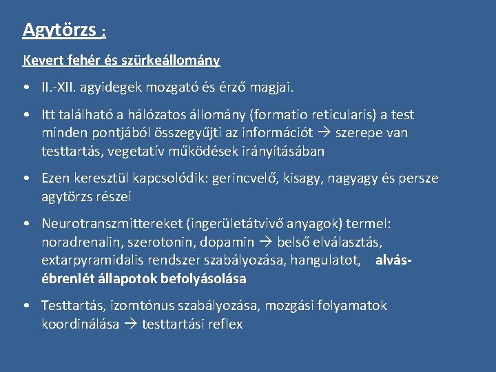 Agytörzs : Kevert fehér és szürkeállomány • II. -XII. agyidegek mozgató és érző magjai.