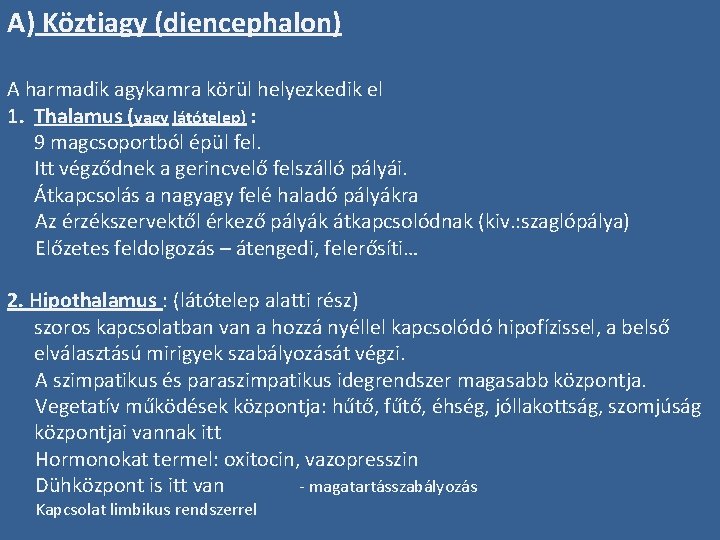 A) Köztiagy (diencephalon) A harmadik agykamra körül helyezkedik el 1. Thalamus (vagy látótelep) :