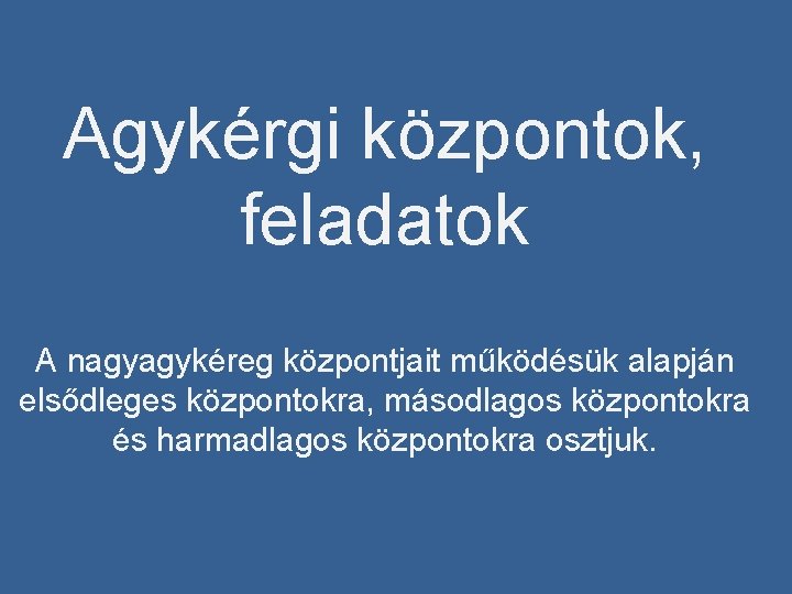 Agykérgi központok, feladatok A nagyagykéreg központjait működésük alapján elsődleges központokra, másodlagos központokra és harmadlagos