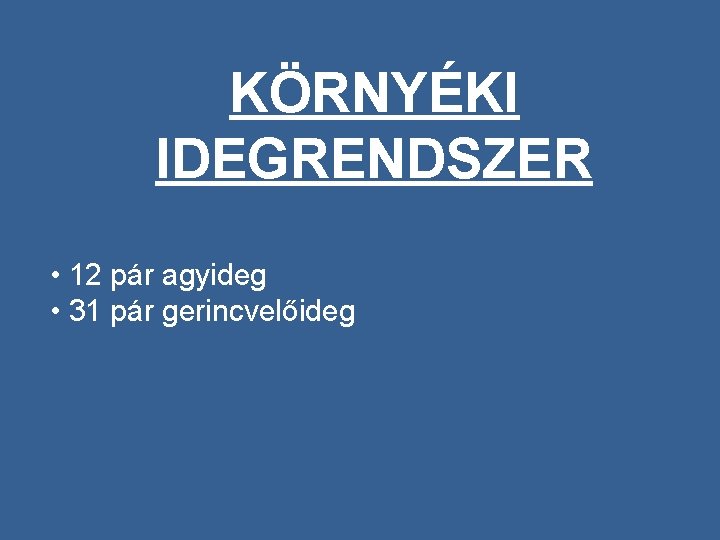 KÖRNYÉKI IDEGRENDSZER • 12 pár agyideg • 31 pár gerincvelőideg 