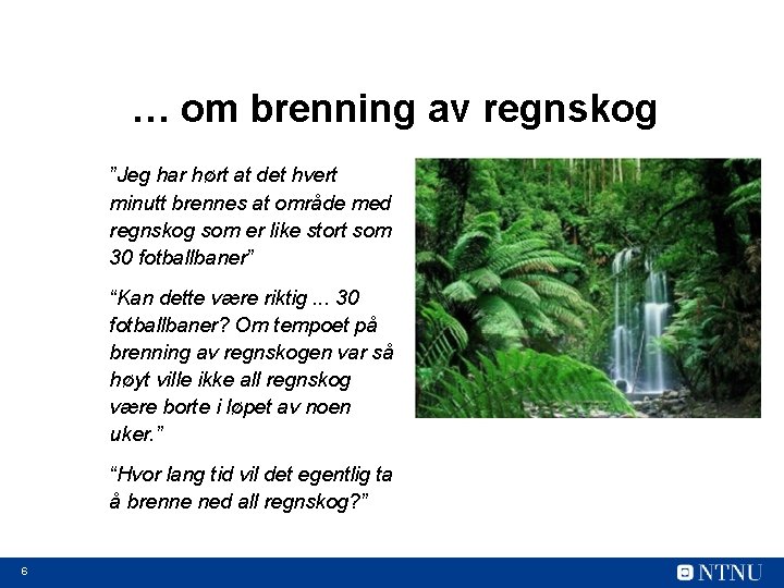 … om brenning av regnskog ”Jeg har hørt at det hvert minutt brennes at