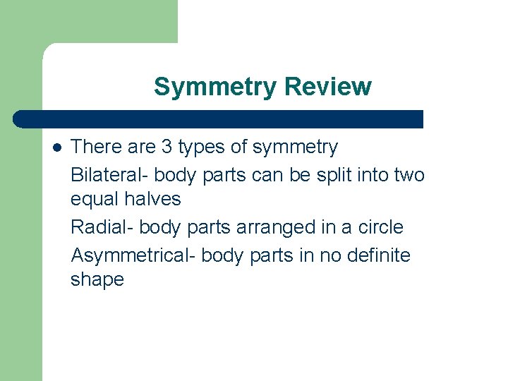 Symmetry Review l There are 3 types of symmetry Bilateral- body parts can be