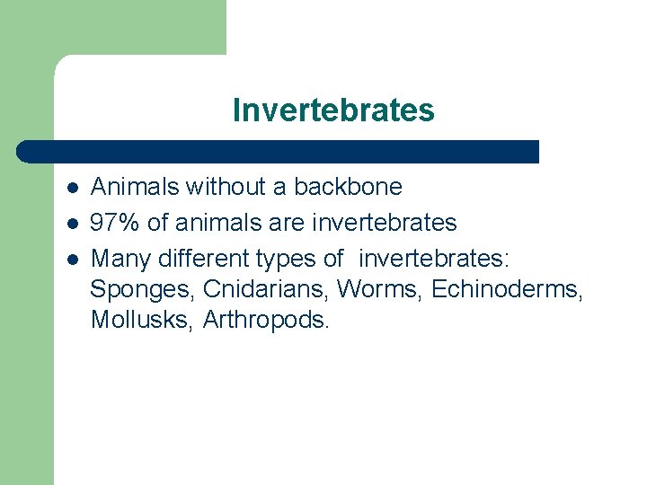 Invertebrates l l l Animals without a backbone 97% of animals are invertebrates Many
