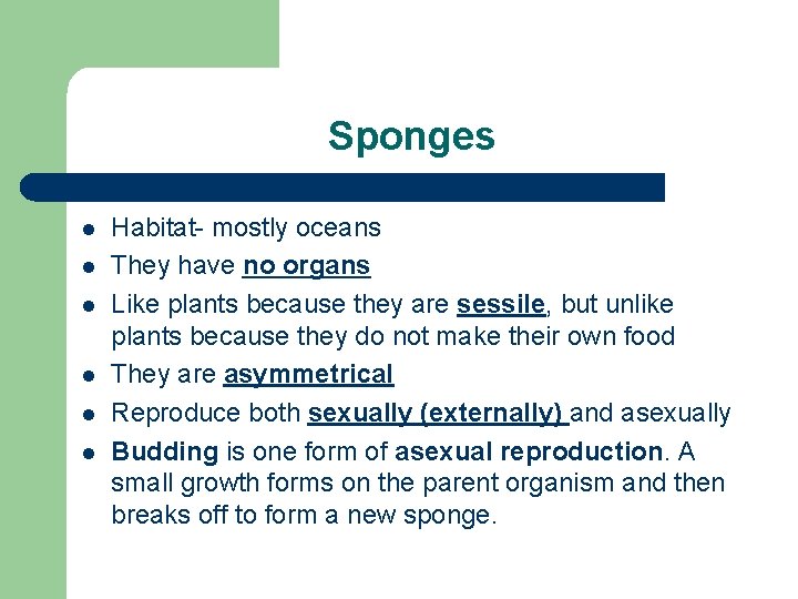 Sponges l l l Habitat- mostly oceans They have no organs Like plants because