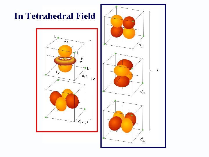 In Tetrahedral Field 