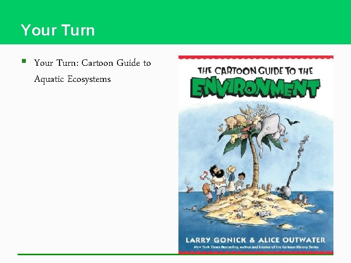 Your Turn § Your Turn: Cartoon Guide to Aquatic Ecosystems 