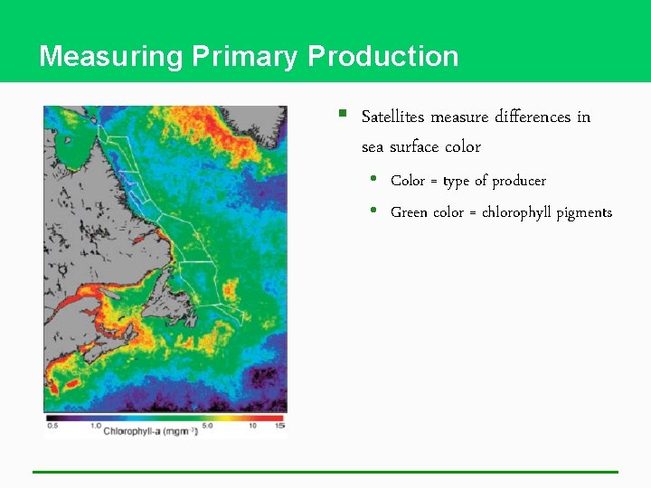 Measuring Primary Production § Satellites measure differences in sea surface color • Color =