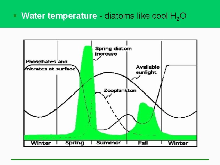 § Water temperature - diatoms like cool H 2 O 