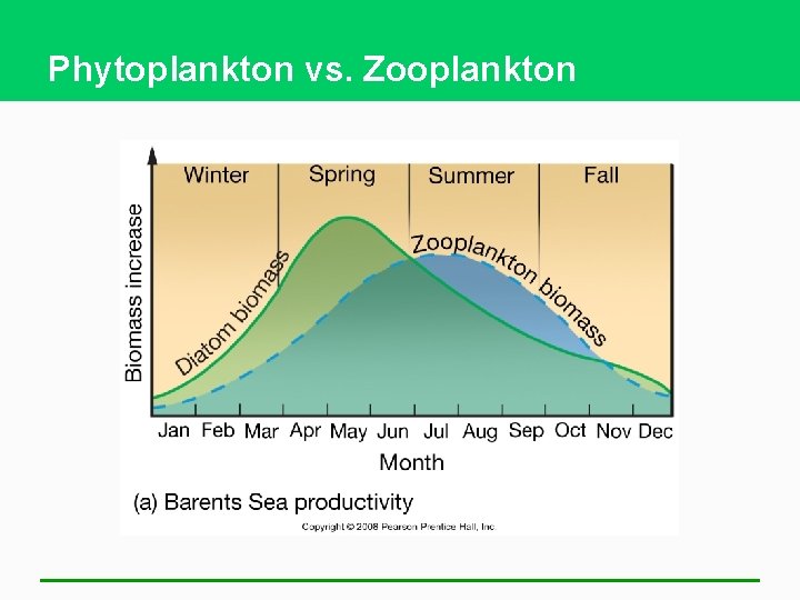 Phytoplankton vs. Zooplankton 