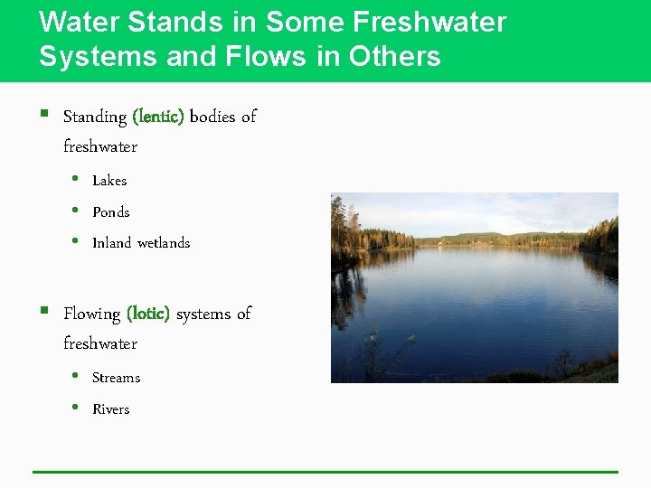 Water Stands in Some Freshwater Systems and Flows in Others § Standing (lentic) bodies