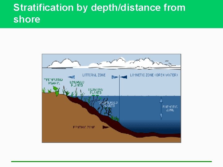 Stratification by depth/distance from shore 