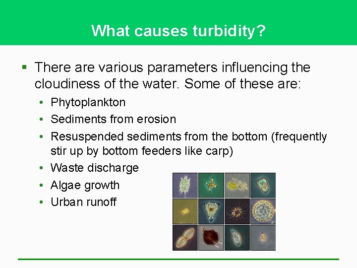 What causes turbidity? § There are various parameters influencing the cloudiness of the water.