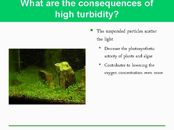 What are the consequences of high turbidity? § The suspended particles scatter the light