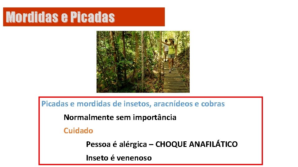 Mordidas e Picadas e mordidas de insetos, aracnídeos e cobras Normalmente sem importância Cuidado