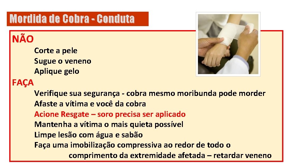 Mordida de Cobra - Conduta NÃO FAÇA Corte a pele Sugue o veneno Aplique