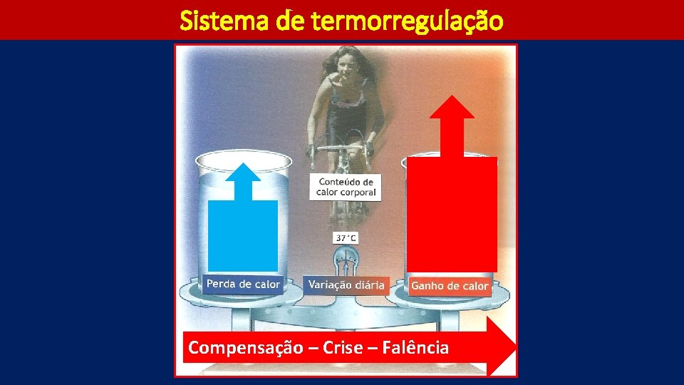 Sistema de termorregulação Compensação – Crise – Falência 