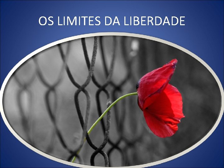 OS LIMITES DA LIBERDADE 