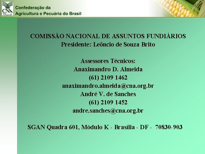 COMISSÃO NACIONAL DE ASSUNTOS FUNDIÁRIOS Presidente: Leôncio de Souza Brito Assessores Técnicos: Anaximandro D.