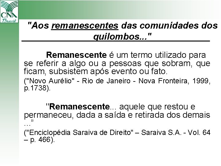 "Aos remanescentes das comunidades dos quilombos. . . " Remanescente é um termo utilizado