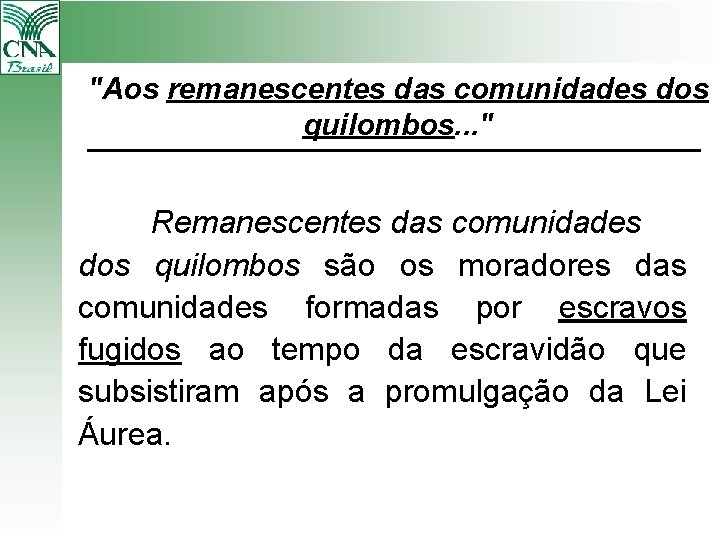 "Aos remanescentes das comunidades dos quilombos. . . " Remanescentes das comunidades dos quilombos