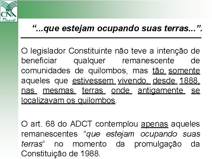 “. . . que estejam ocupando suas terras. . . ”. O legislador Constituinte