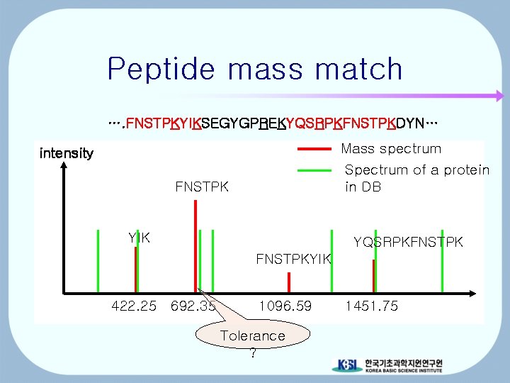 Peptide mass match …. FNSTPKYIKSEGYGPREKYQSRPKFNSTPKDYN… Mass spectrum Spectrum of a protein in DB intensity
