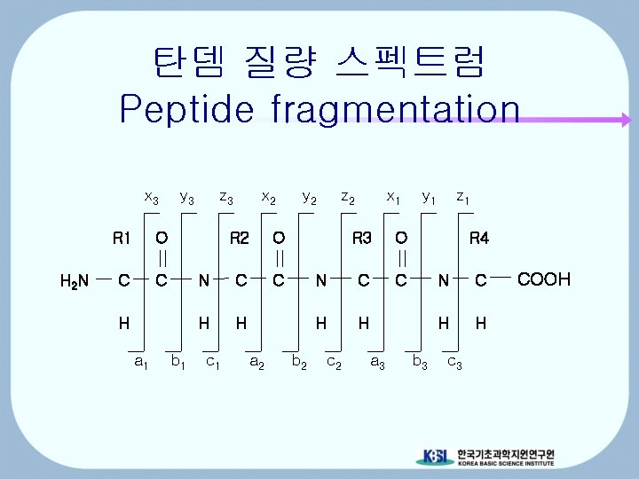 탄뎀 질량 스펙트럼 Peptide fragmentation x 3 H 2 N R 1 O C