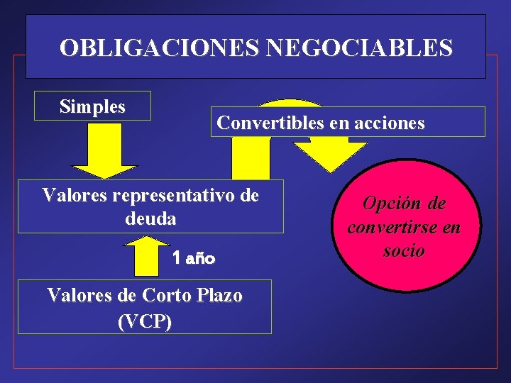 OBLIGACIONES NEGOCIABLES Simples Convertibles en acciones Valores representativo de deuda 1 año Valores de