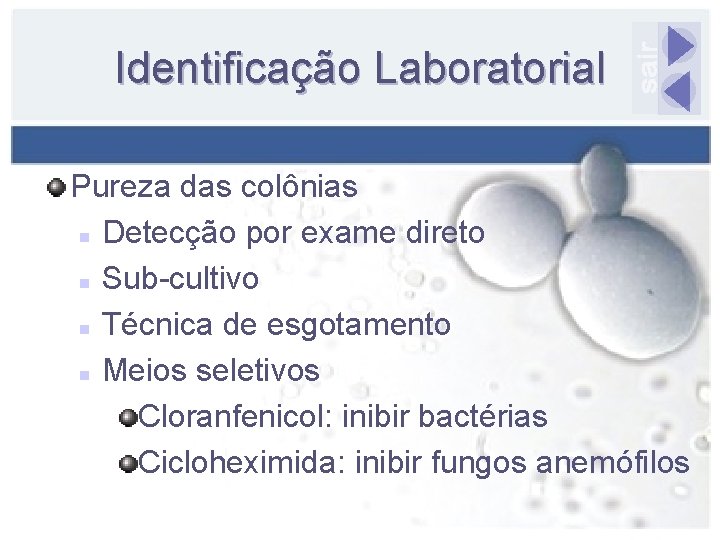 Identificação Laboratorial Pureza das colônias n Detecção por exame direto n Sub-cultivo n Técnica