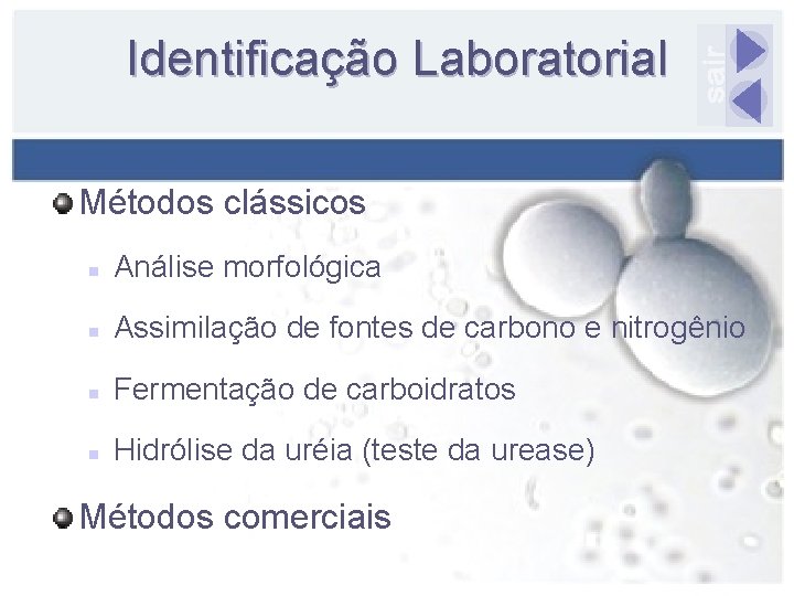 Identificação Laboratorial Métodos clássicos n Análise morfológica n Assimilação de fontes de carbono e