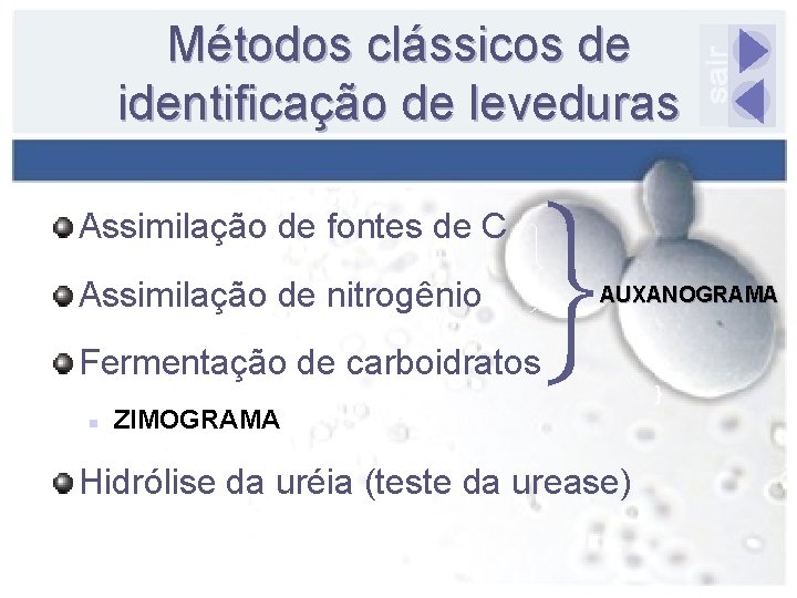 Métodos clássicos de identificação de leveduras Assimilação de fontes de C Assimilação de nitrogênio
