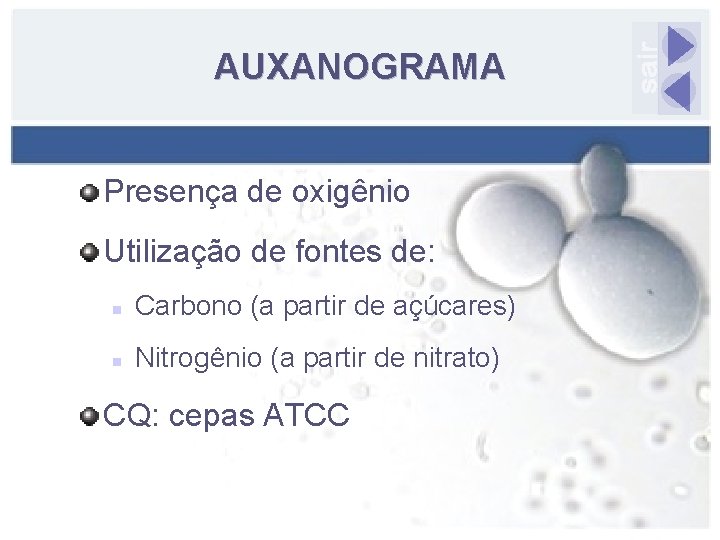 AUXANOGRAMA Presença de oxigênio Utilização de fontes de: n Carbono (a partir de açúcares)