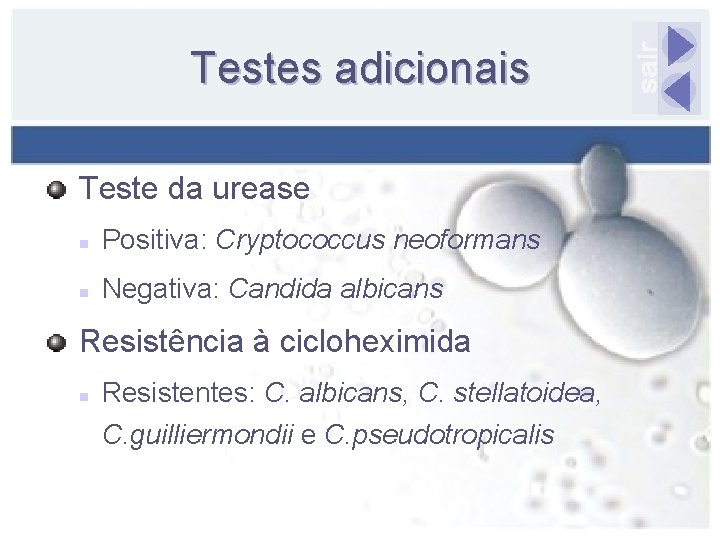 Testes adicionais Teste da urease n Positiva: Cryptococcus neoformans n Negativa: Candida albicans Resistência