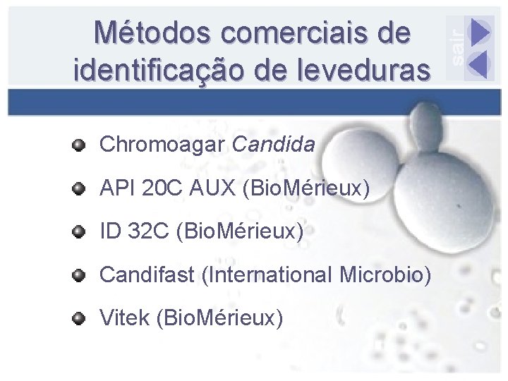 Métodos comerciais de identificação de leveduras Chromoagar Candida API 20 C AUX (Bio. Mérieux)