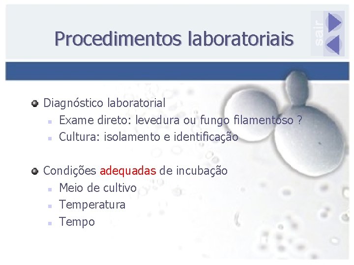 Procedimentos laboratoriais Diagnóstico laboratorial n Exame direto: levedura ou fungo filamentoso ? n Cultura: