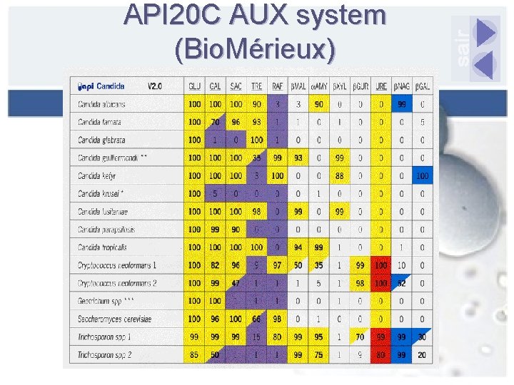 API 20 C AUX system (Bio. Mérieux) 