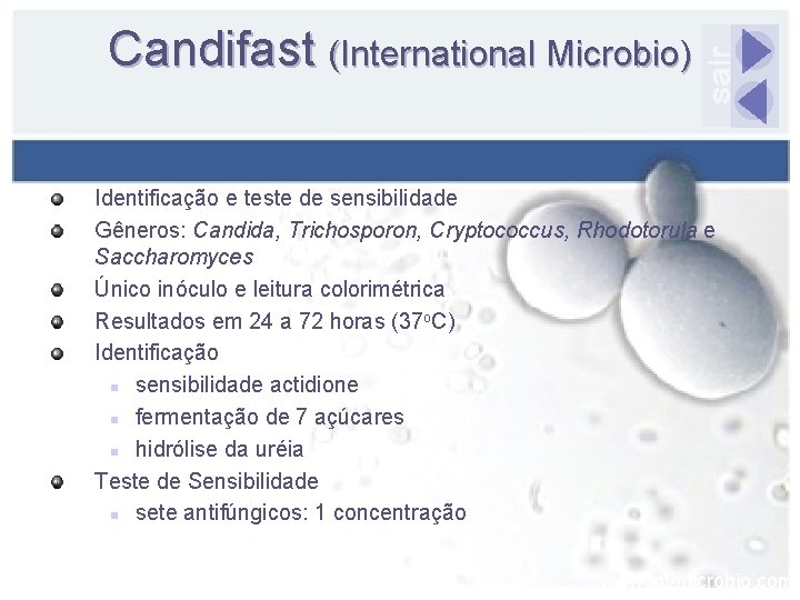 Candifast (International Microbio) Identificação e teste de sensibilidade Gêneros: Candida, Trichosporon, Cryptococcus, Rhodotorula e