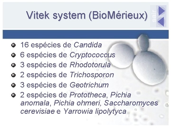 Vitek system (Bio. Mérieux) 16 espécies de Candida 6 espécies de Cryptococcus 3 espécies