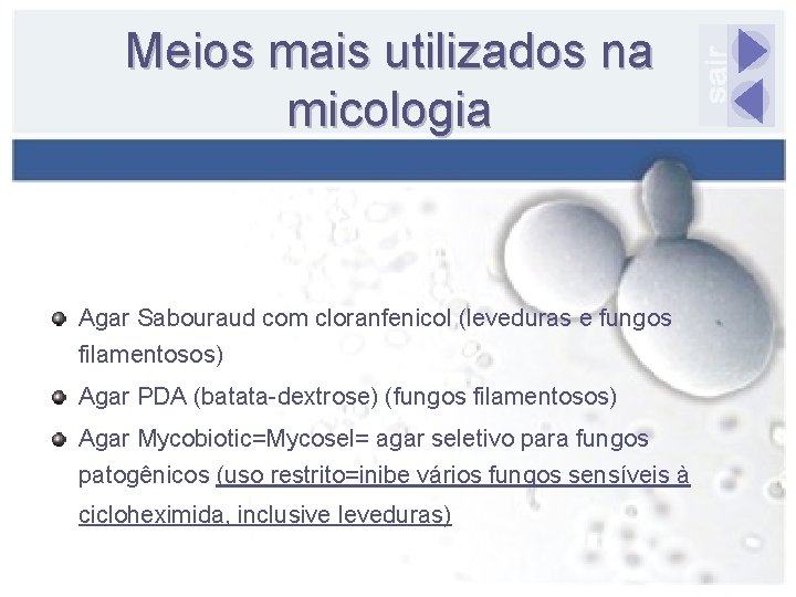 Meios mais utilizados na micologia Agar Sabouraud com cloranfenicol (leveduras e fungos filamentosos) Agar