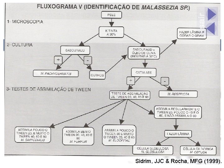 Sidrim, JJC & Rocha, MFG (1999). 