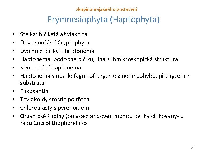skupina nejasného postavení Prymnesiophyta (Haptophyta) • • • Stélka: bičíkatá až vláknitá Dříve součástí
